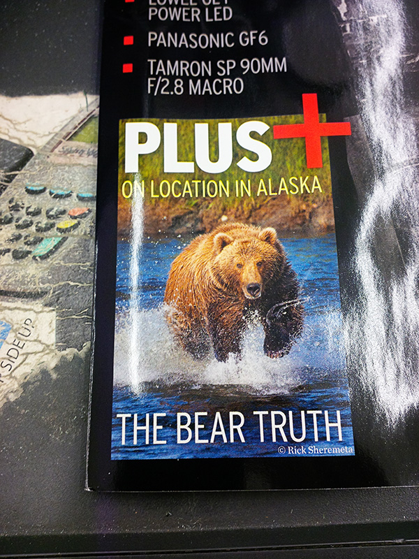 BearTour